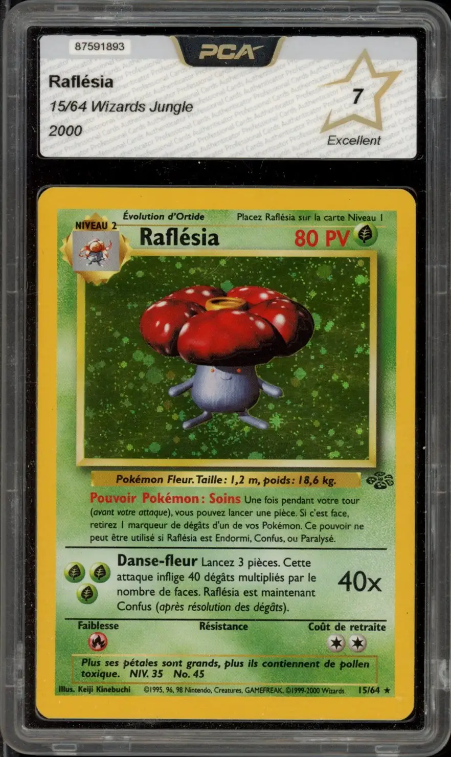 PCA 7 Raflésia Holo