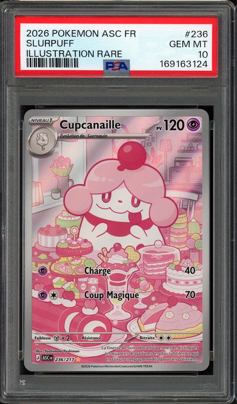 PSA 10 Cupcanaille
