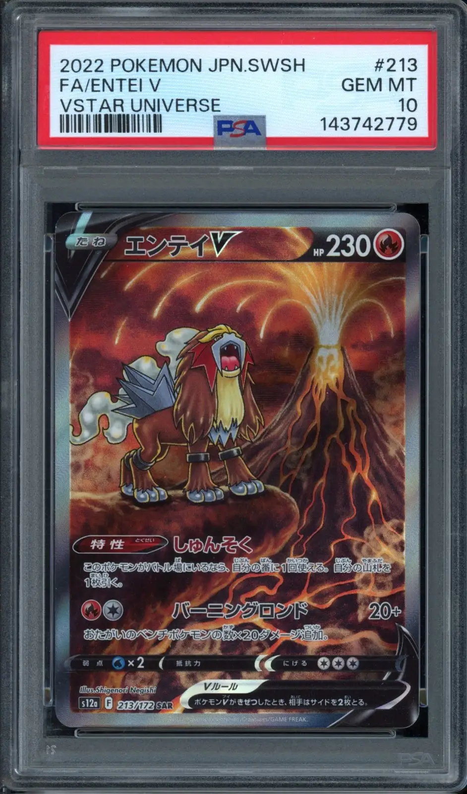 PSA 10 Entei V