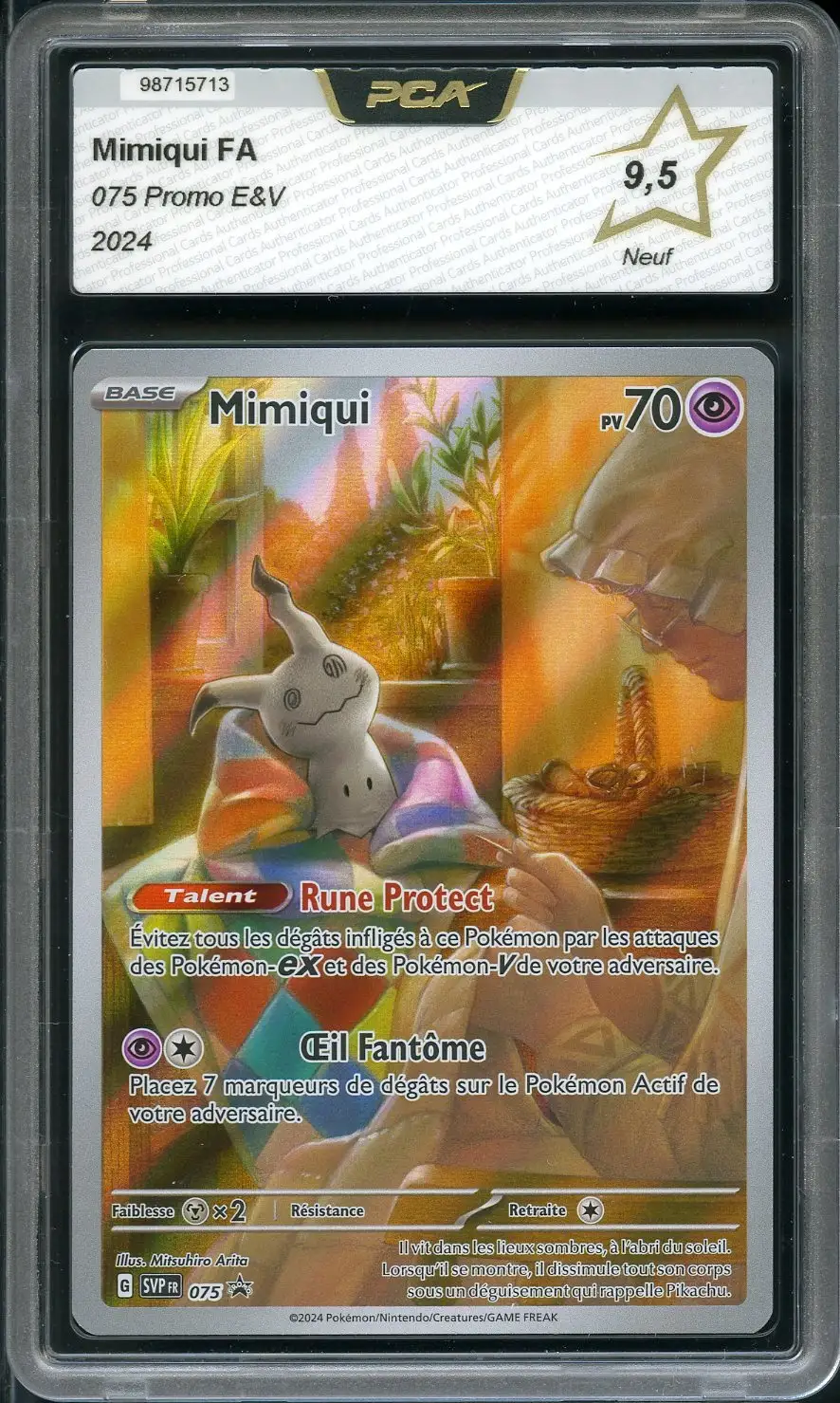 PCA 9.5 Mimiqui