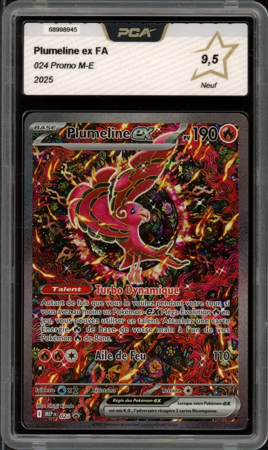 PCA 9.5 Plumeline Ex