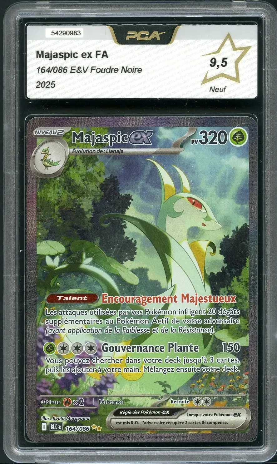 PCA 9.5 Majaspic Ex