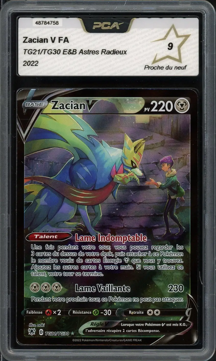 PCA 9 Zacian V