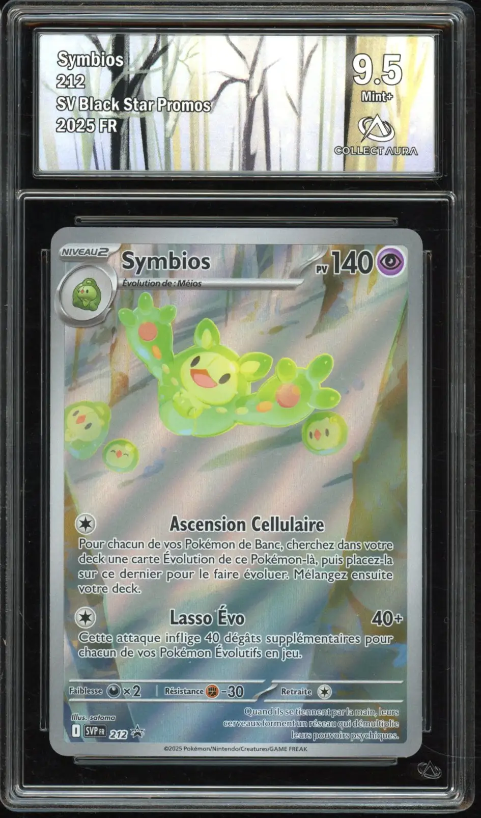 CA 9.5 Symbios