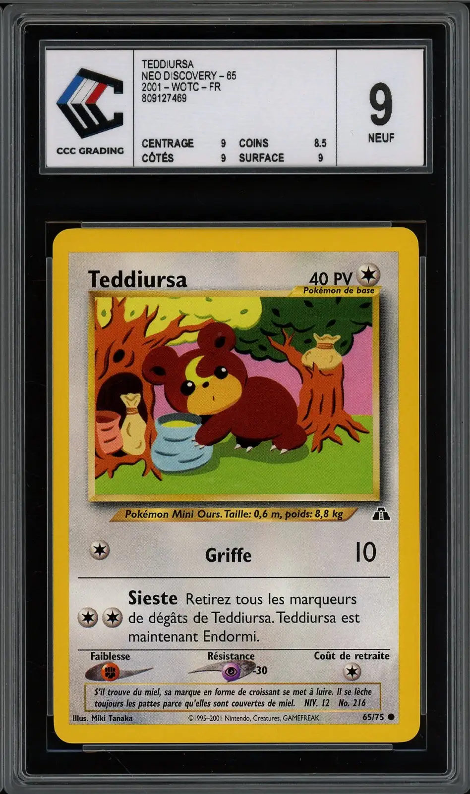 CCC 9 Teddiursa