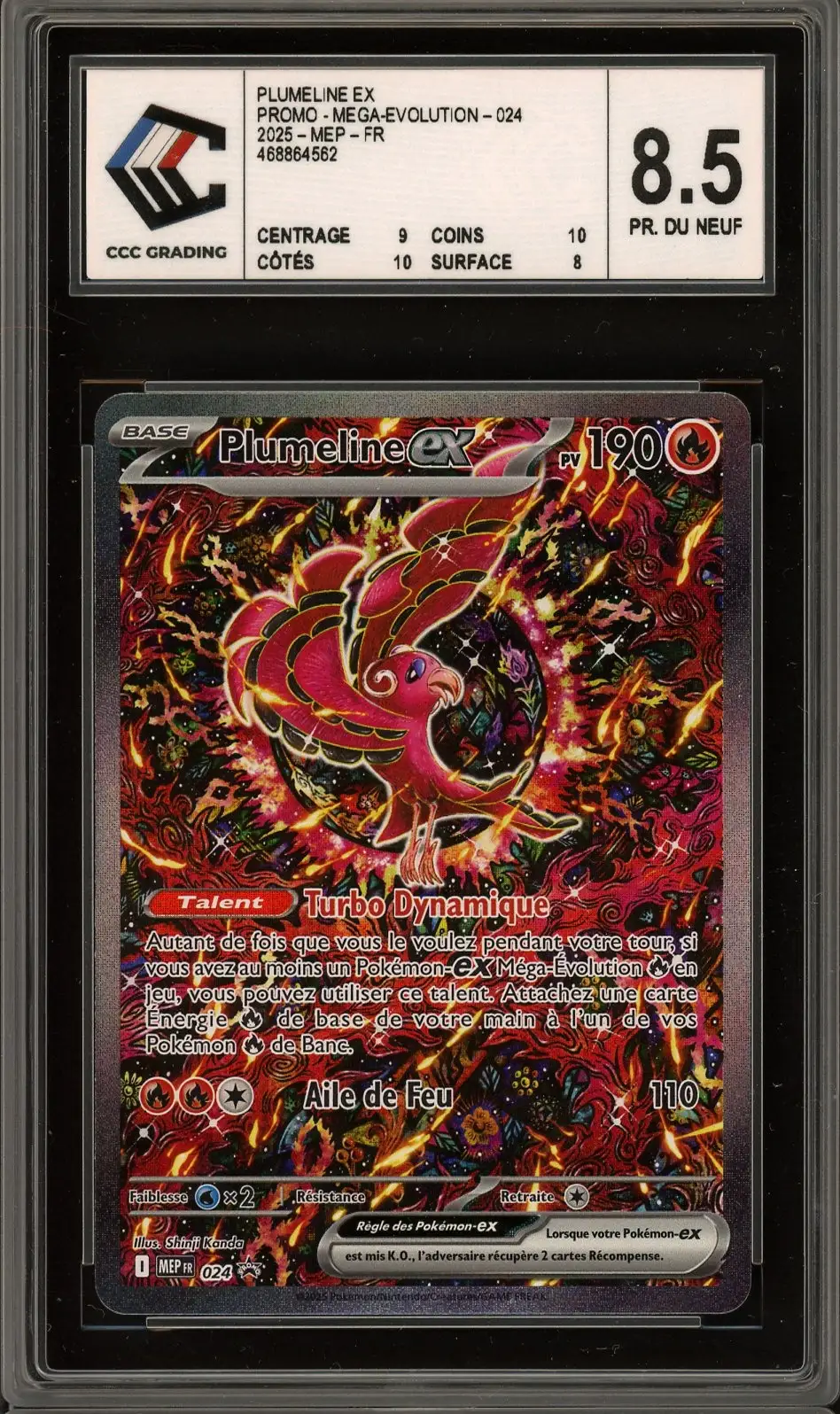 CCC 8.5 Plumeline Ex