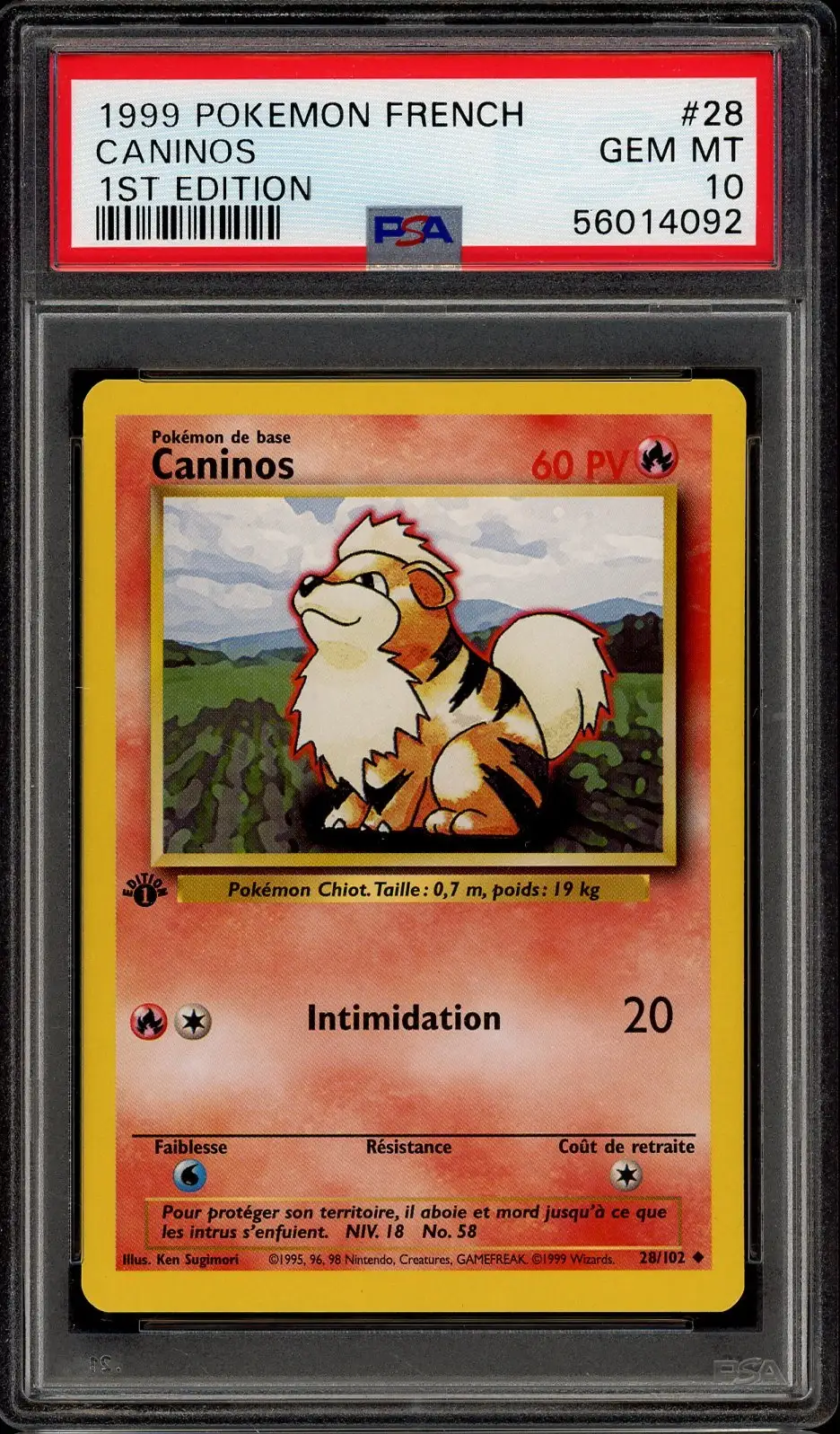 PSA 10 Caninos