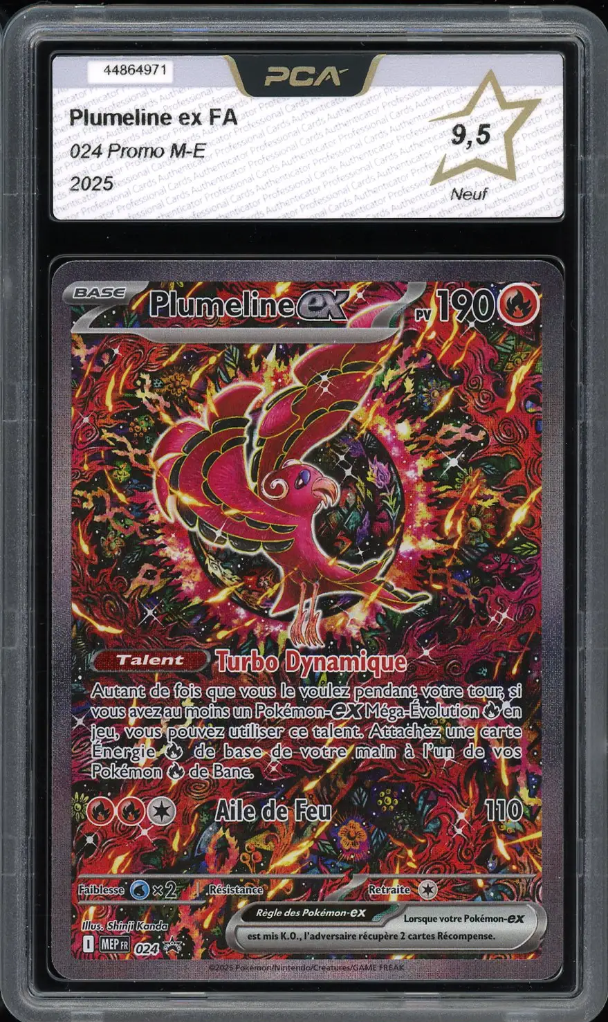 PCA 9.5 Plumeline Ex