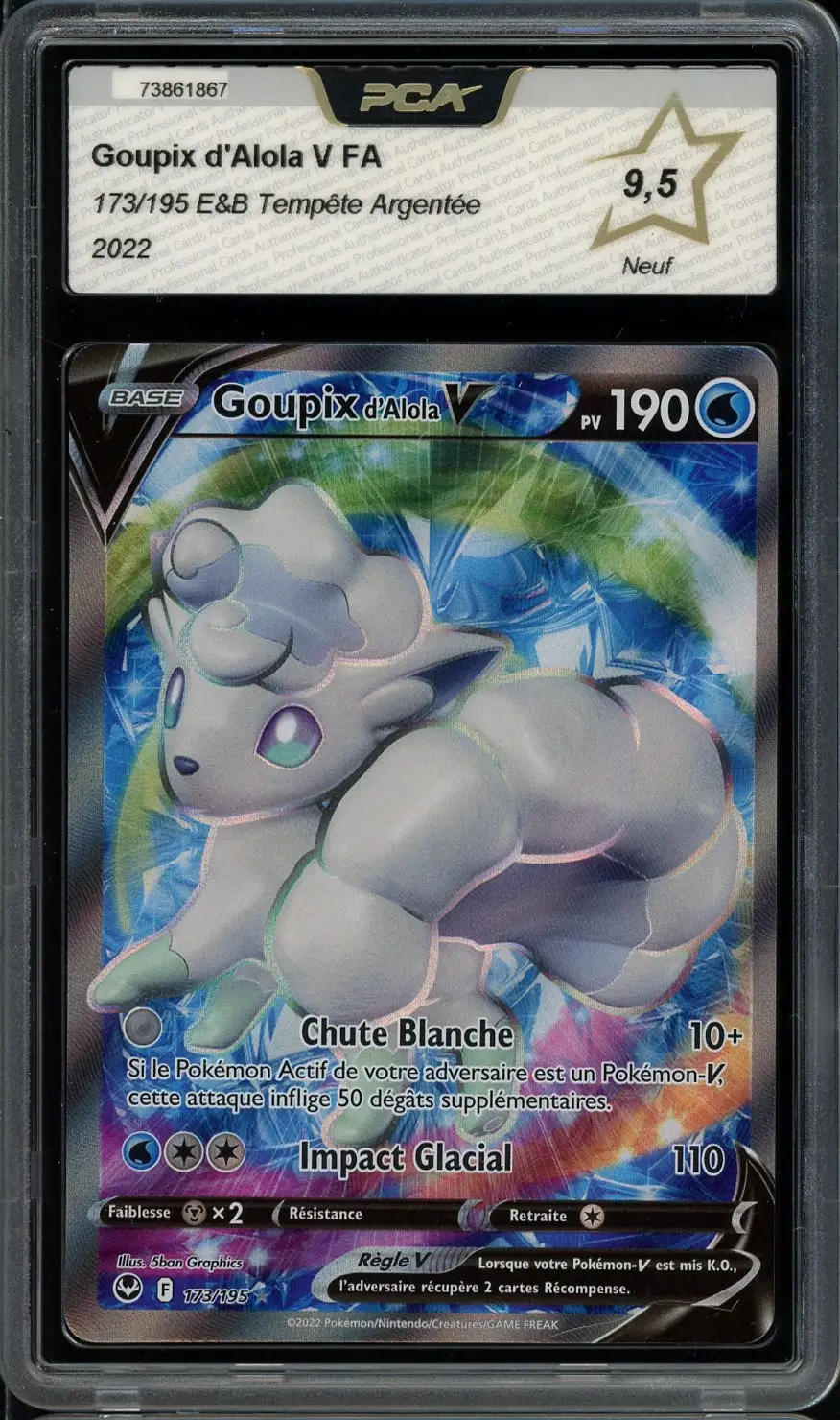PCA 9.5 Goupix d'Alola V