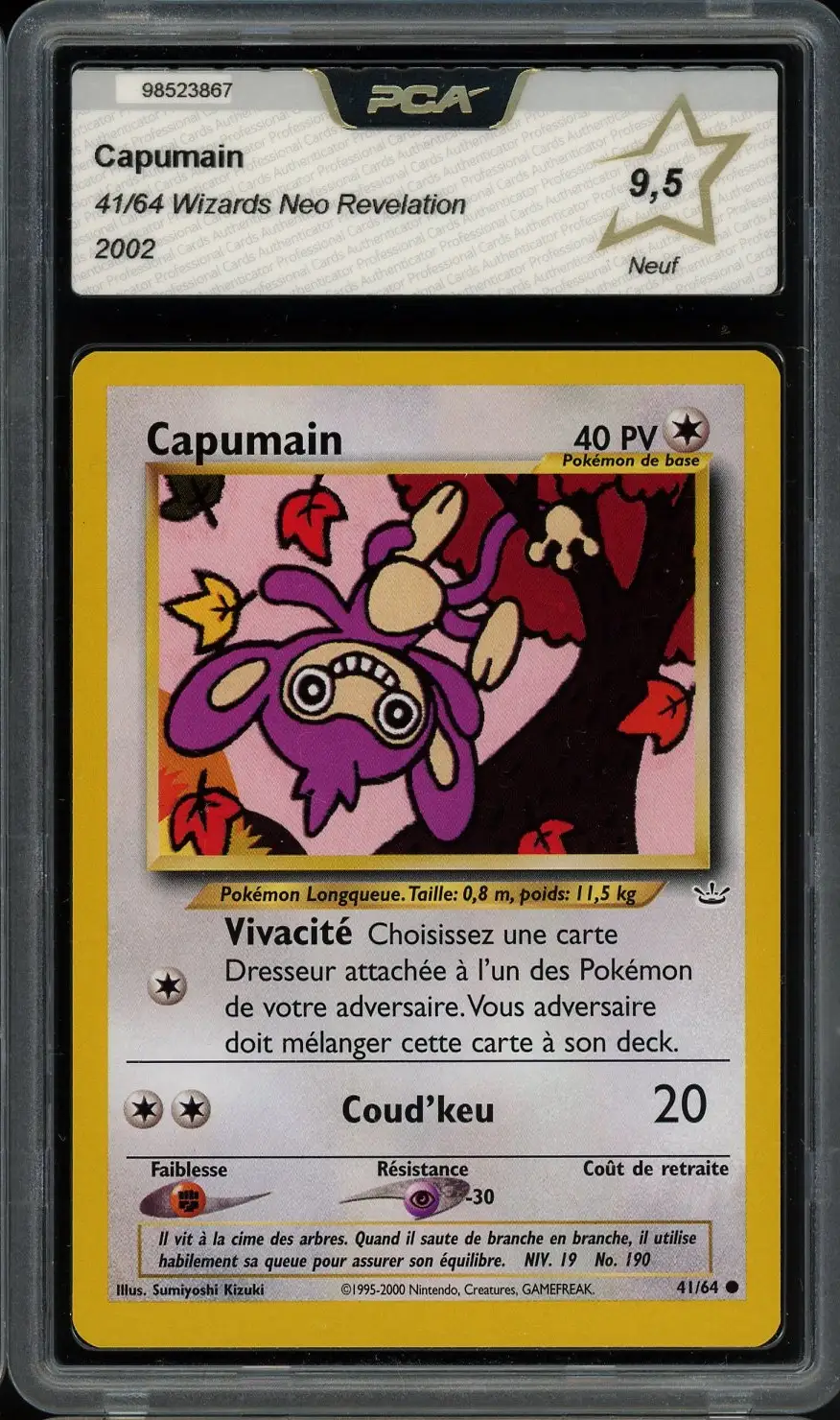PCA 9.5 Capumain