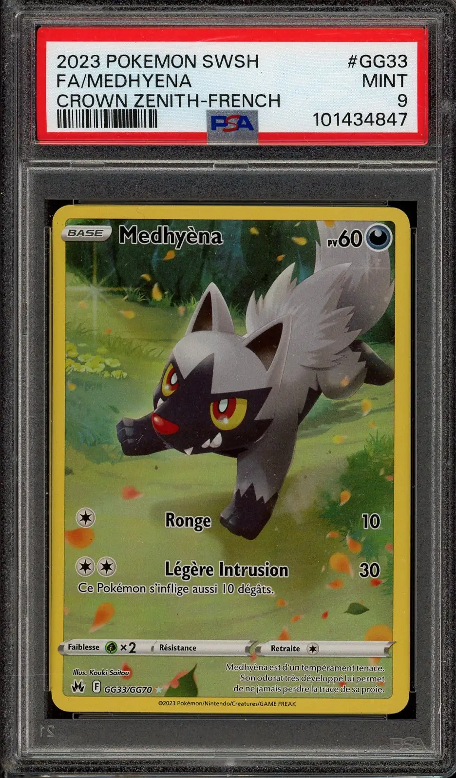 PSA 9 Medhyèna