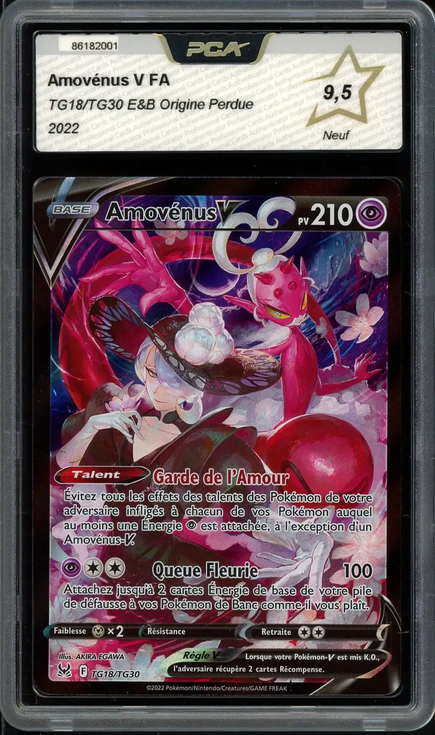 PCA 9.5 Amovénus V
