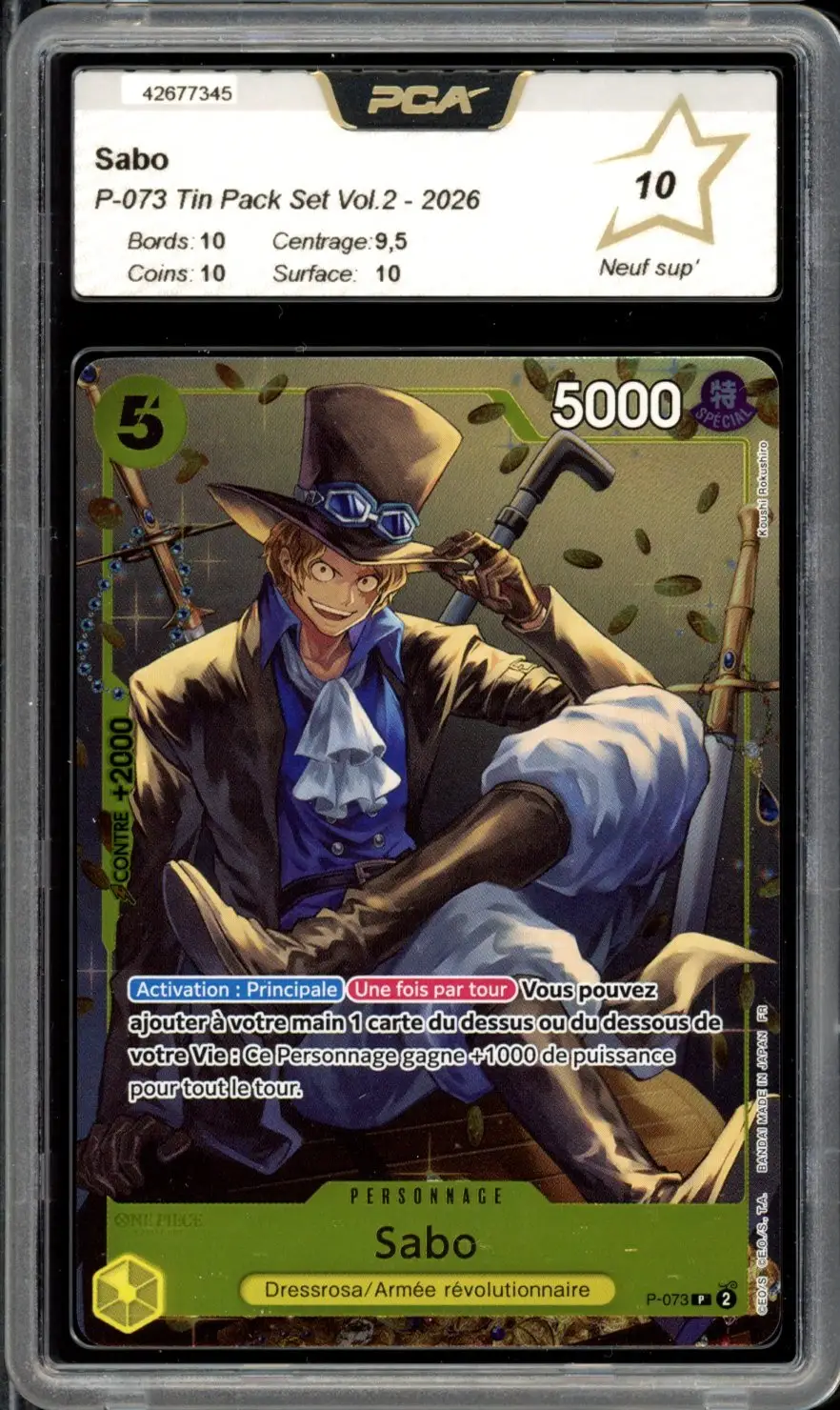 PCA 10 Sabo