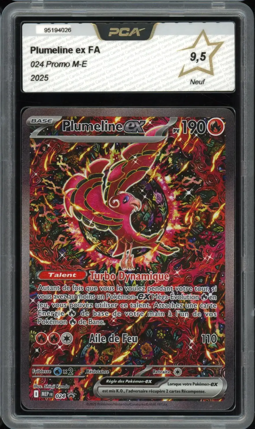 PCA 9.5 Plumeline Ex