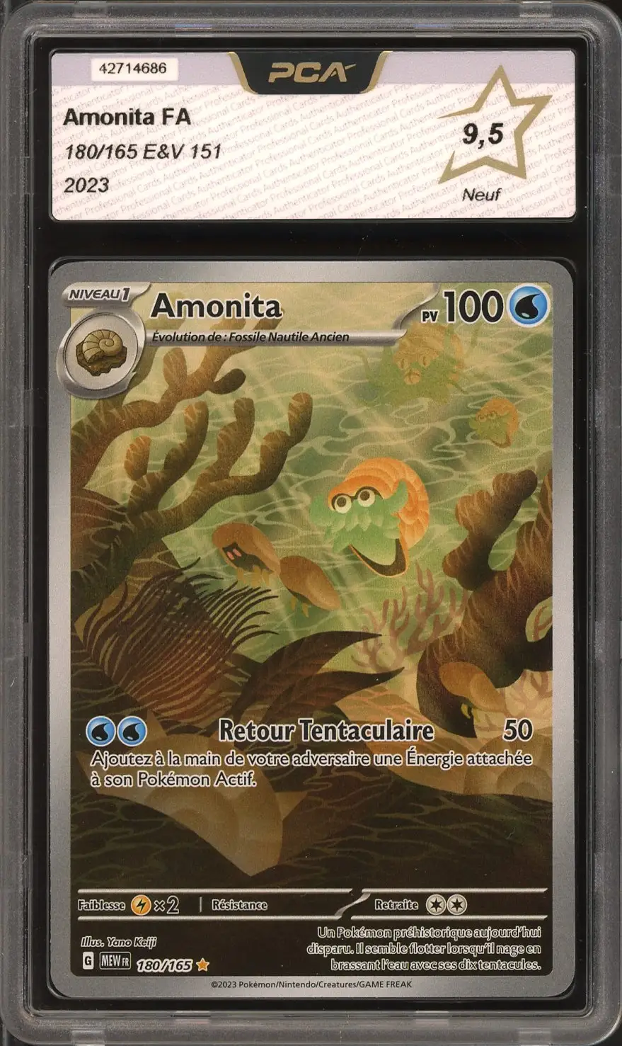 PCA 9.5 Amonita