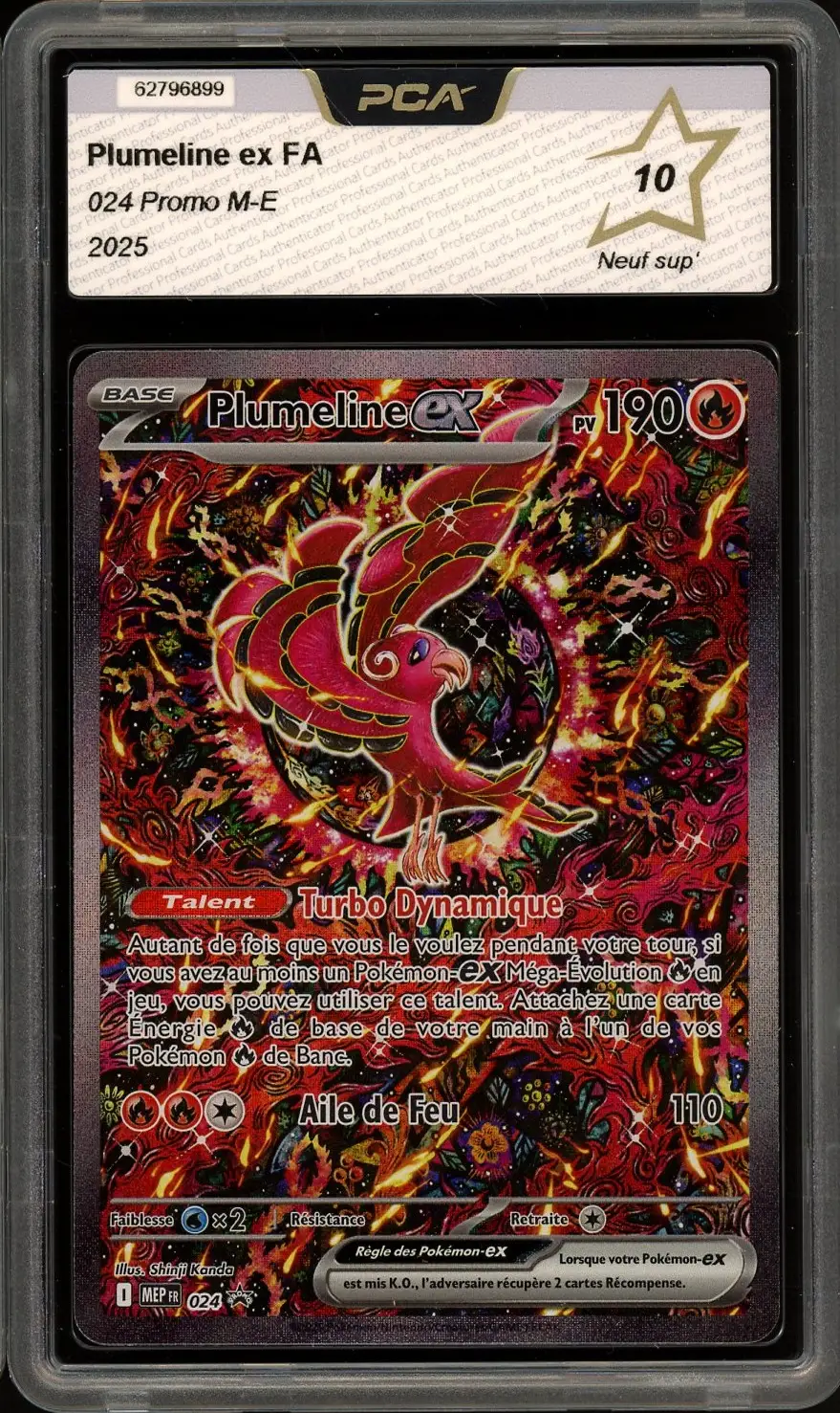 PCA 10 Plumeline Ex