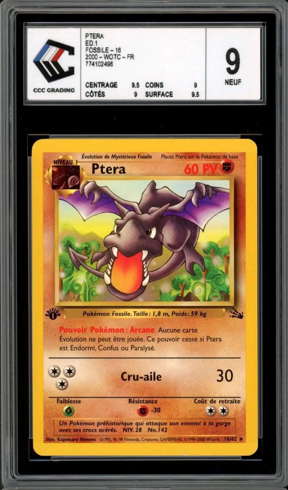 CCC 9 Ptéra