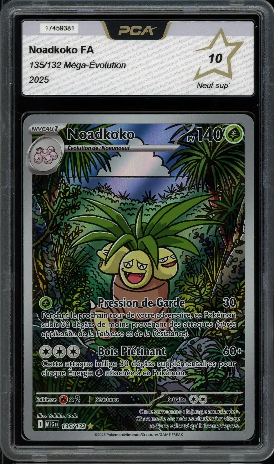 PCA 10 Noadkoko