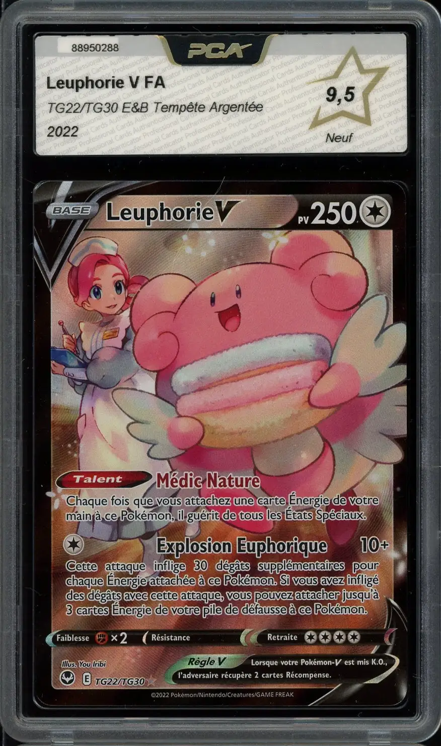 PCA 9.5 Leuphorie V
