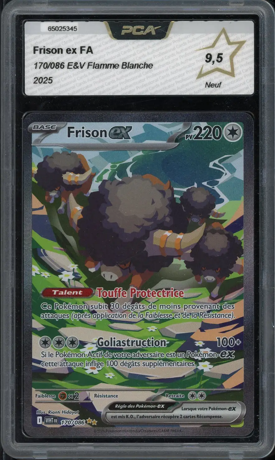 PCA 9.5 Frison Ex