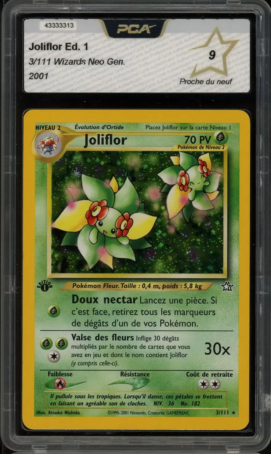 PCA 9 Joliflor Holo