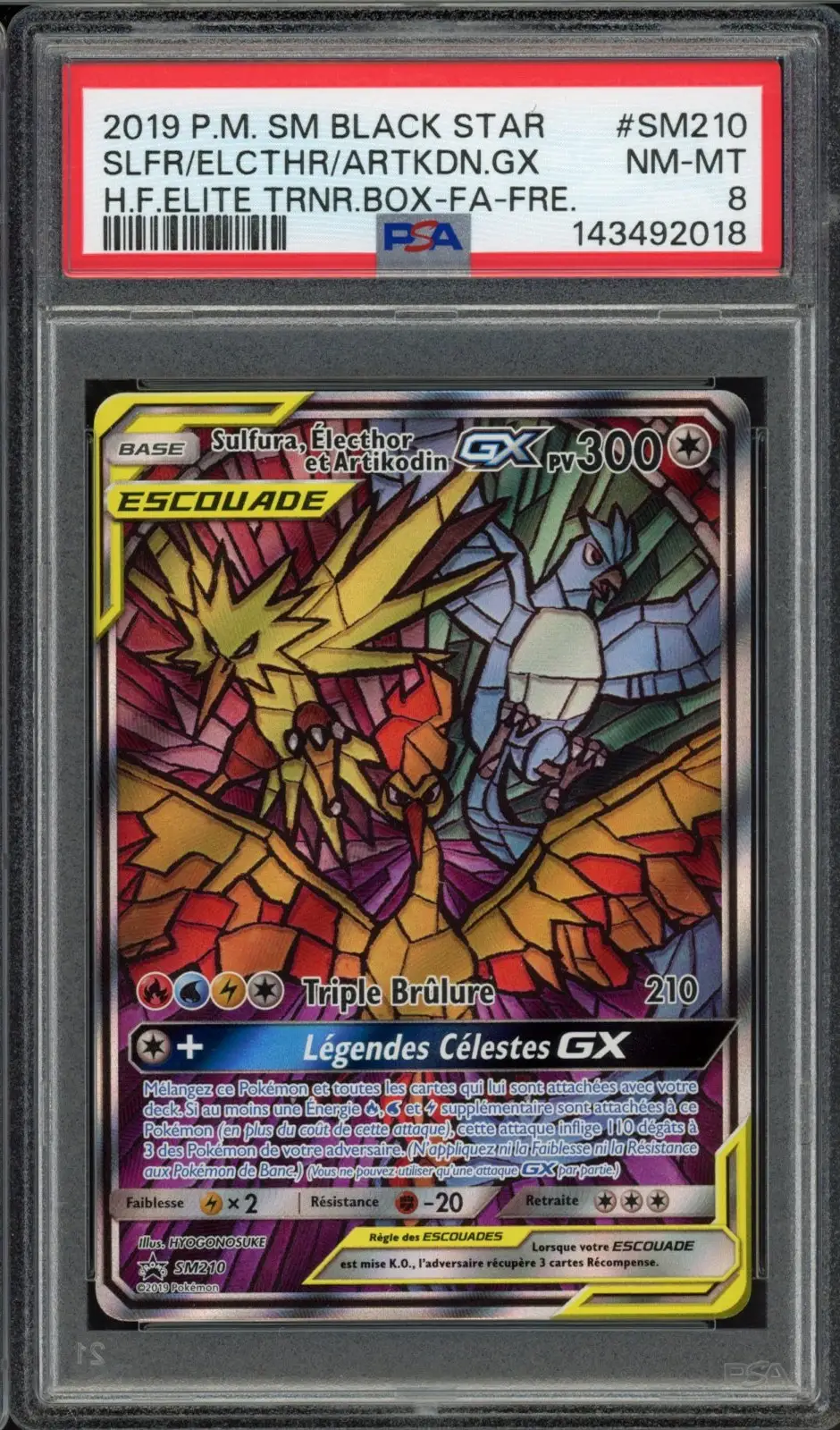 PSA 8 Sulfura, Électhor et Artikodin Gx