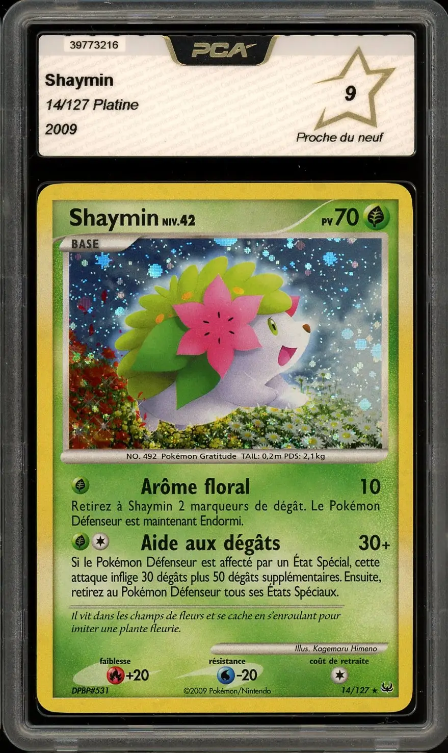 PCA 9 Shaymin Holo