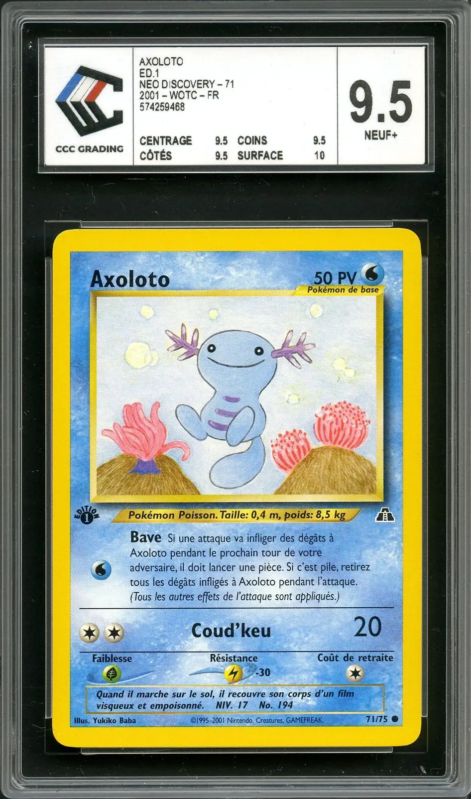 CCC 9.5 Axoloto