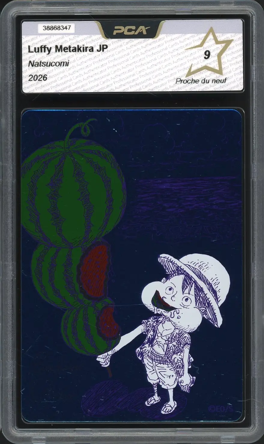 PCA 9 Luffy Metakira