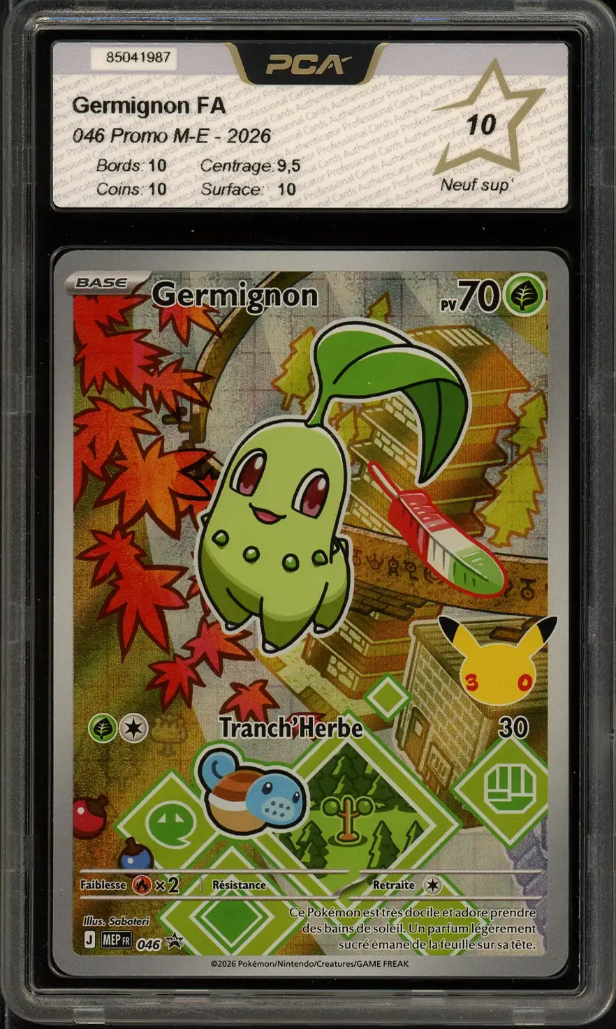 PCA 10 Germignon