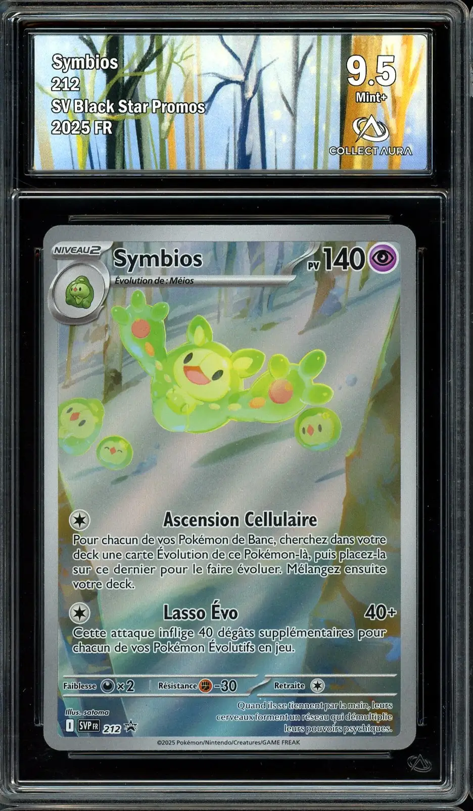 CA 9.5 Symbios