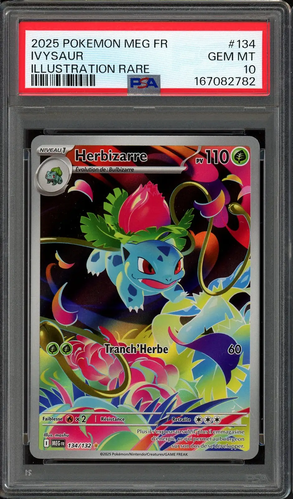 PSA 10 Herbizarre