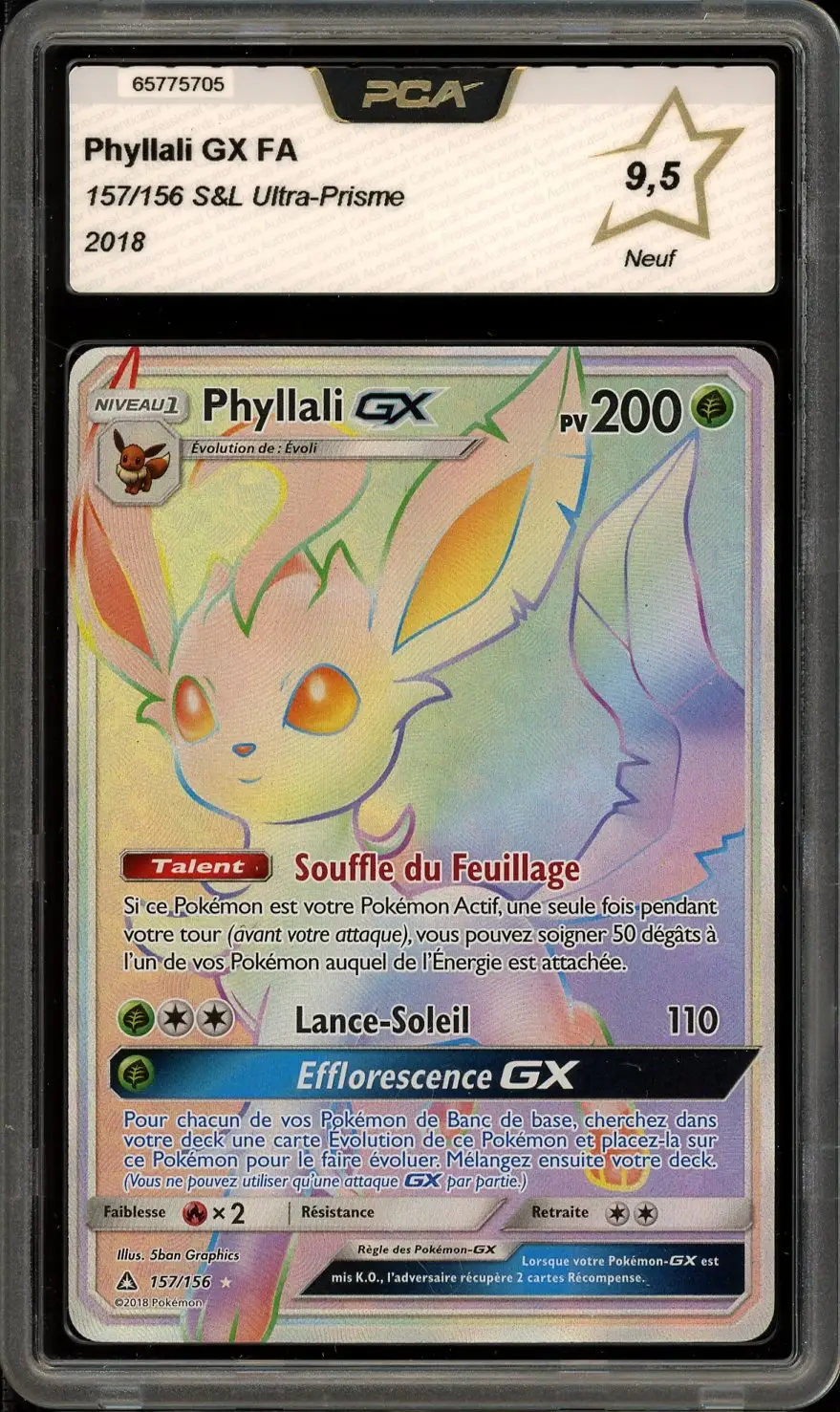 PCA 9.5 Phyllali Gx Rainbow