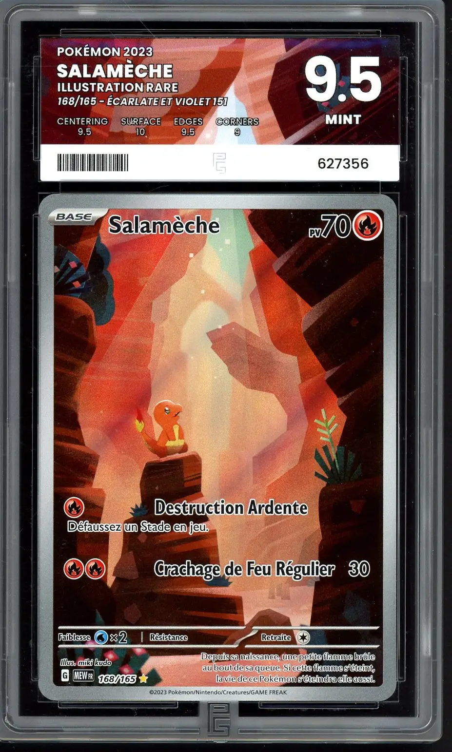 PG 9.5 Salamèche