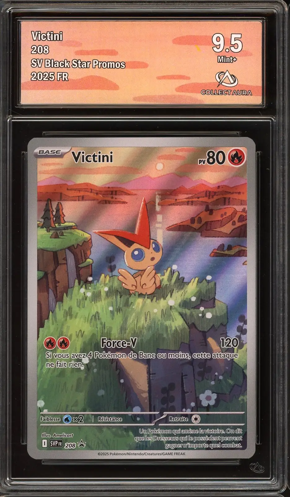 CA 9.5 Victini