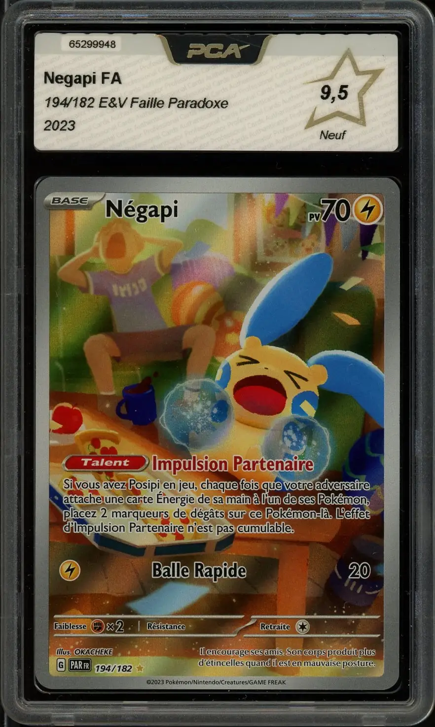 PCA 9.5 Négapi