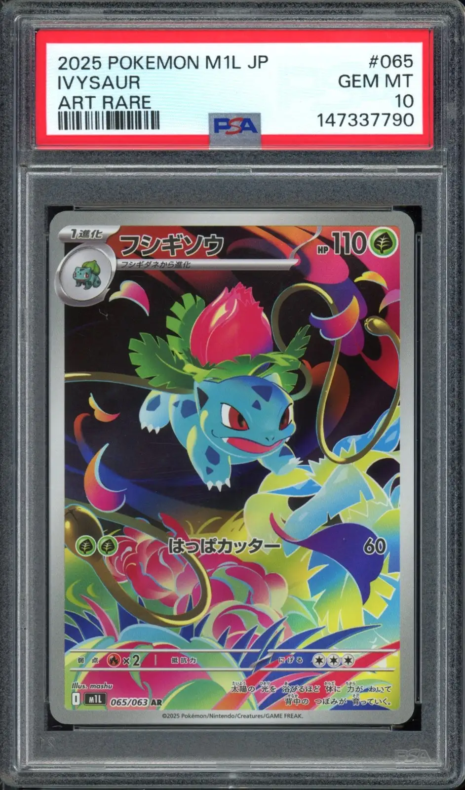 PSA 10 Ivysaur