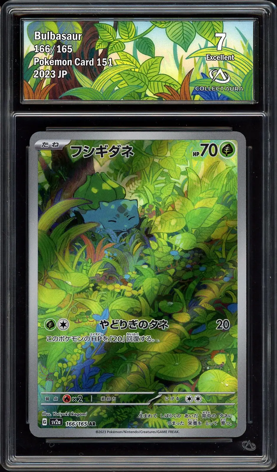 CA 7 Bulbasaur