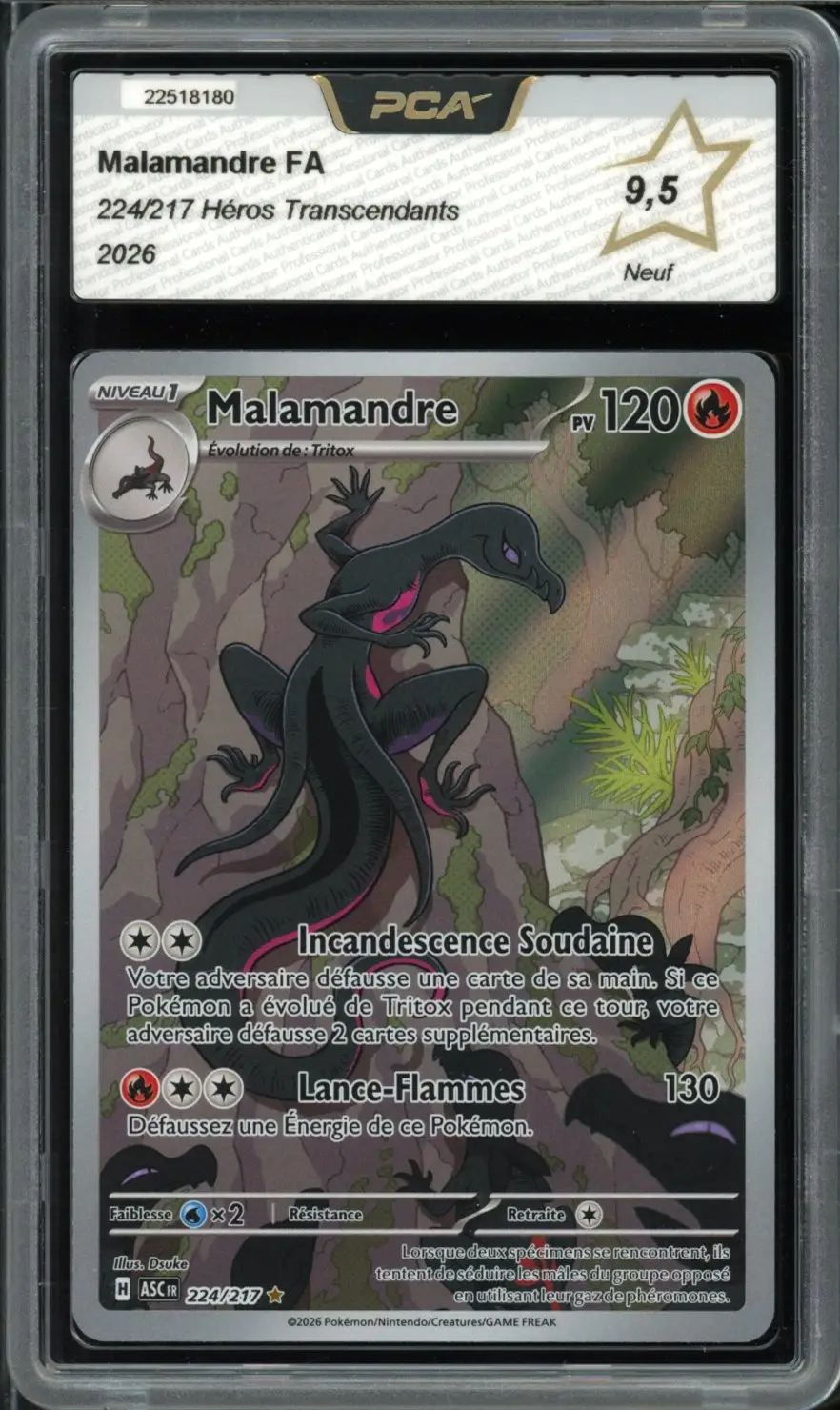 PCA 9.5 Malamandre