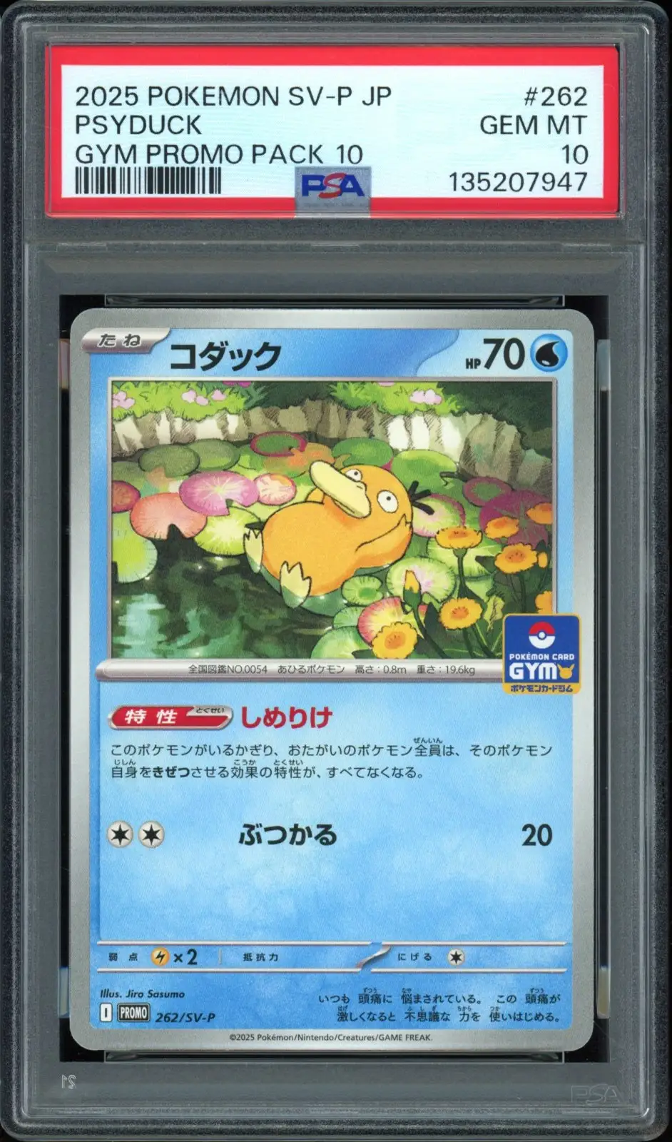 PSA 10 Psyduck