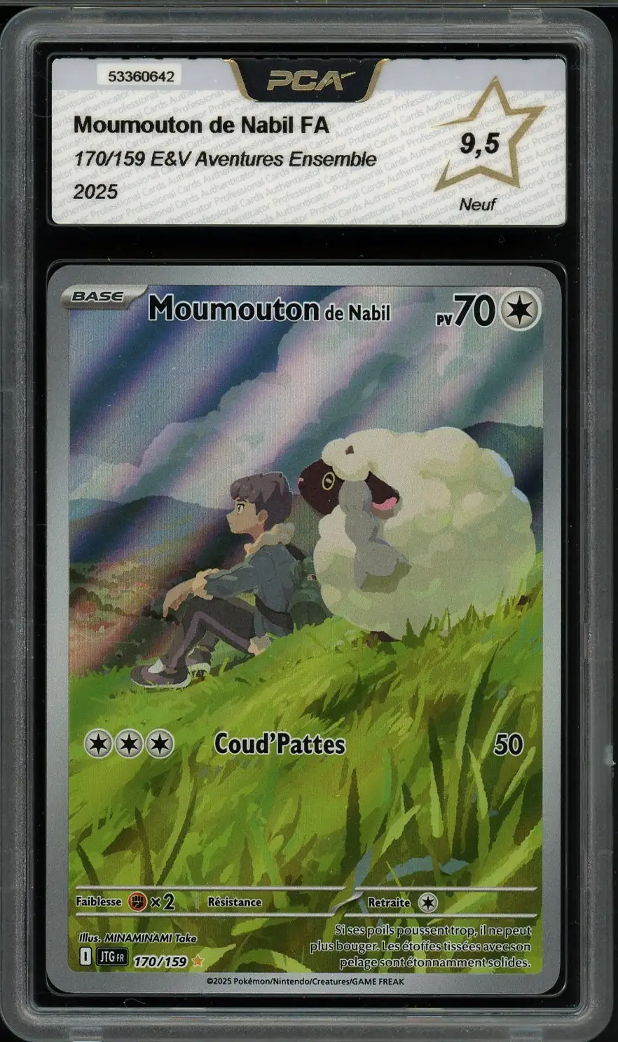 PCA 9.5 Moumouton de Nabil