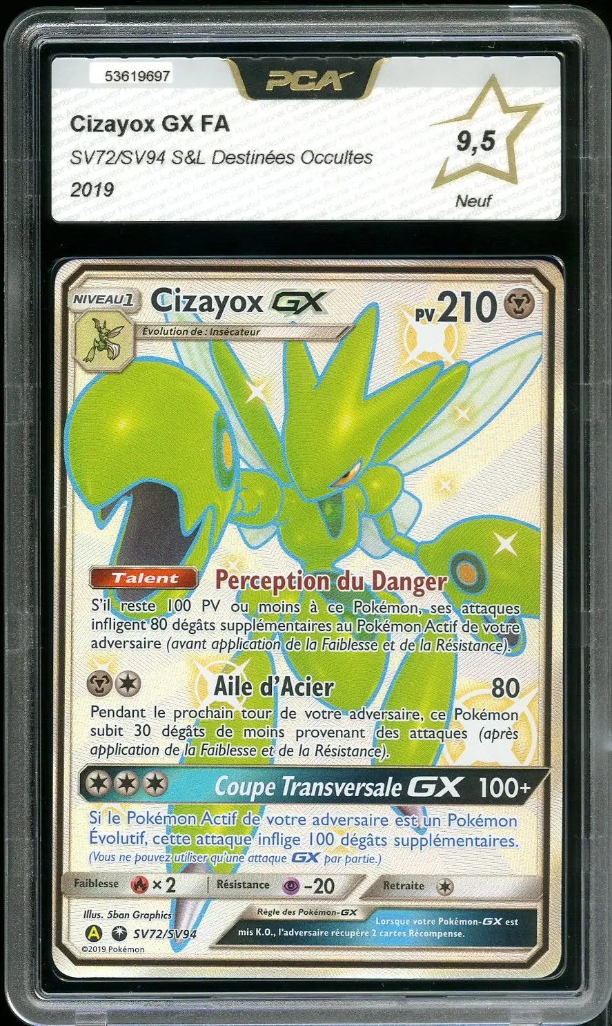 PCA 9.5 Cizayox Gx