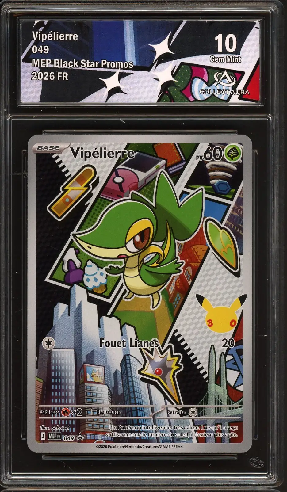 CA 10 Vipélierre