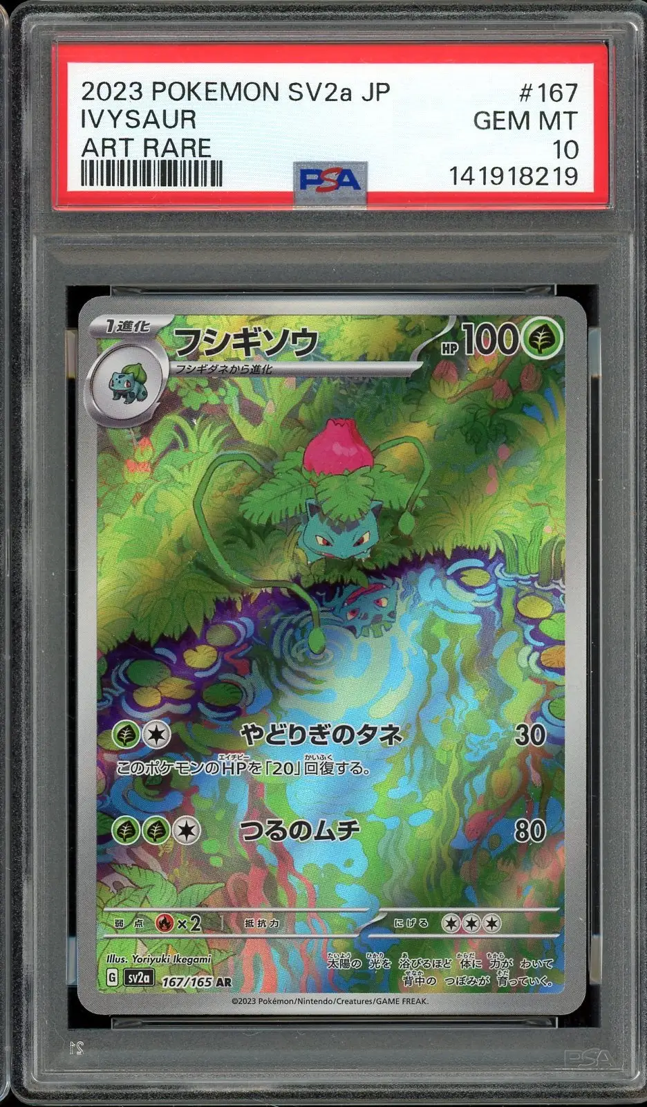 PSA 10 Ivysaur