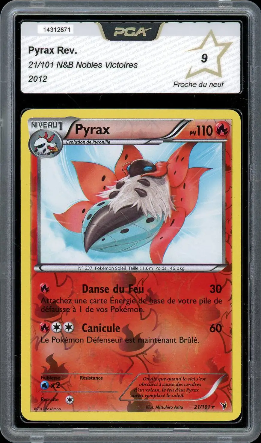 PCA 9 Pyrax Reverse