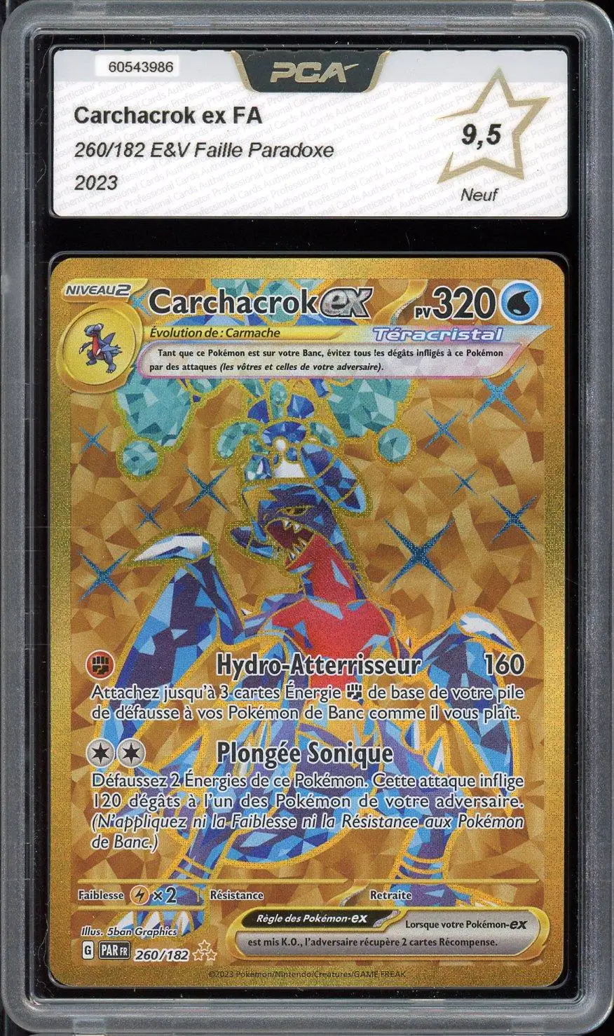 PCA 9.5 Carchacrok Ex Gold