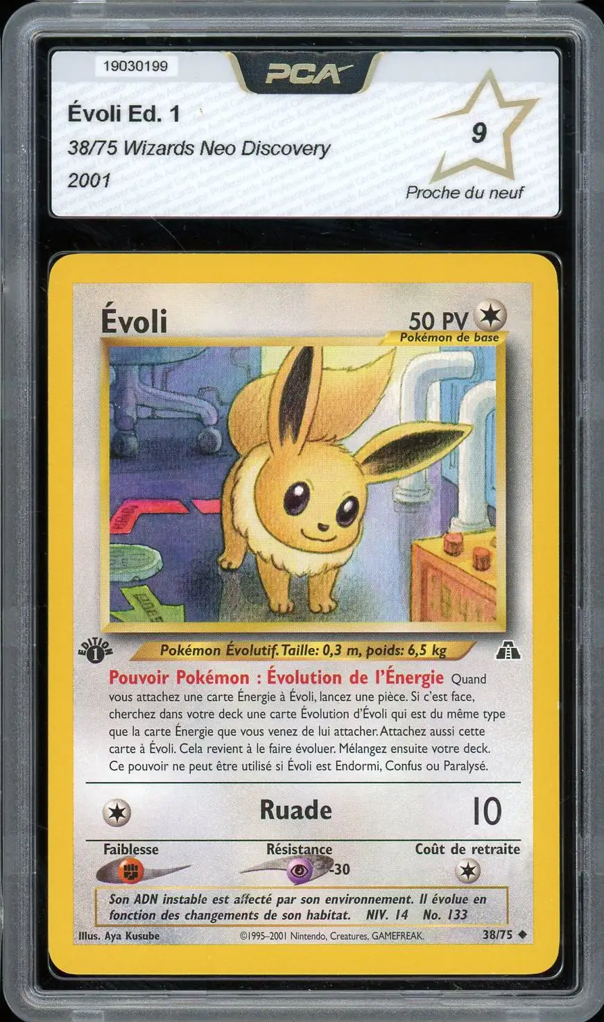 PCA 9 Evoli