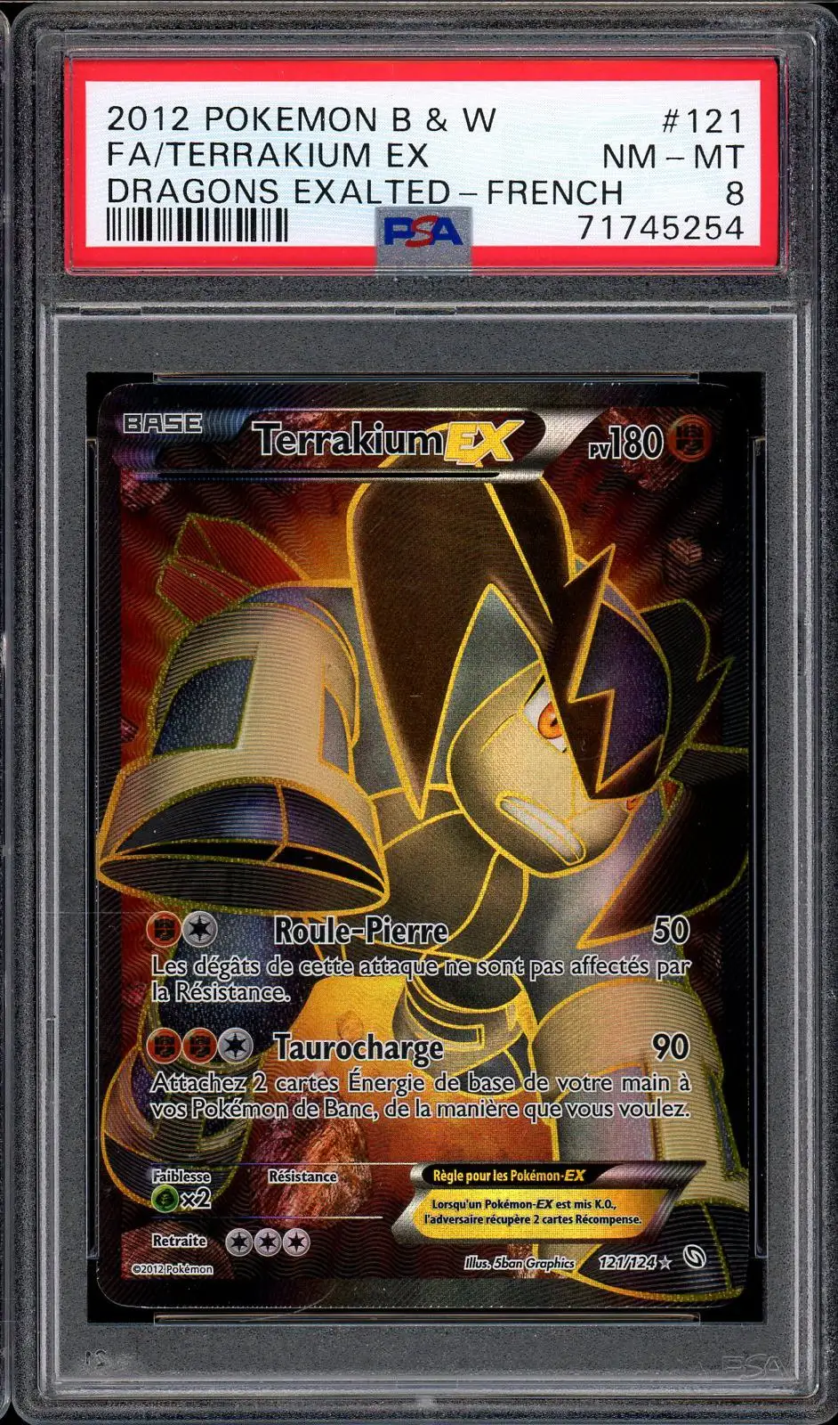 PSA 8 Terrakium Ex