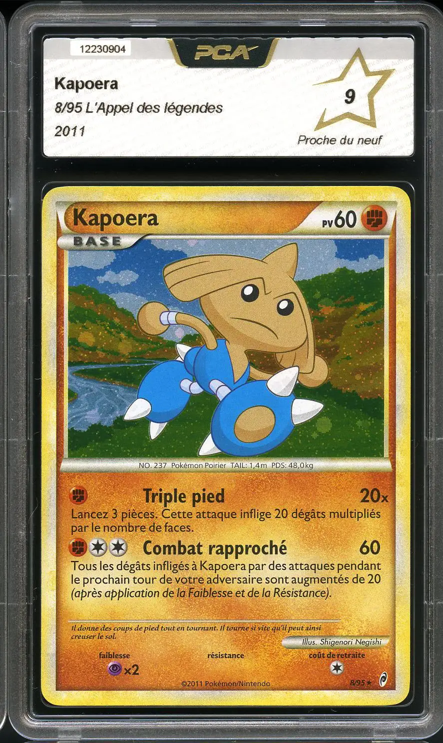 PCA 9 Kapoera Holo