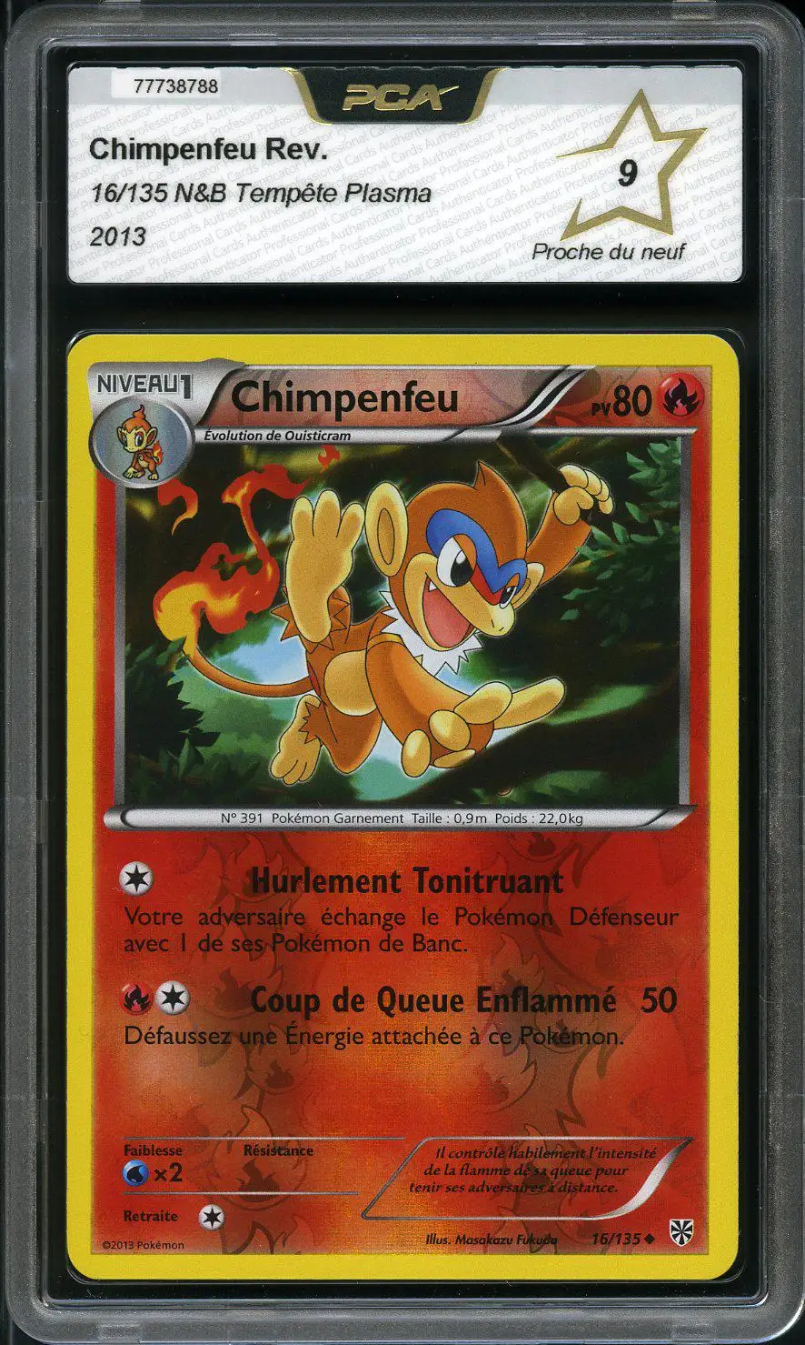PCA 9 Chimpenfeu Reverse